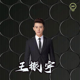 王振宇